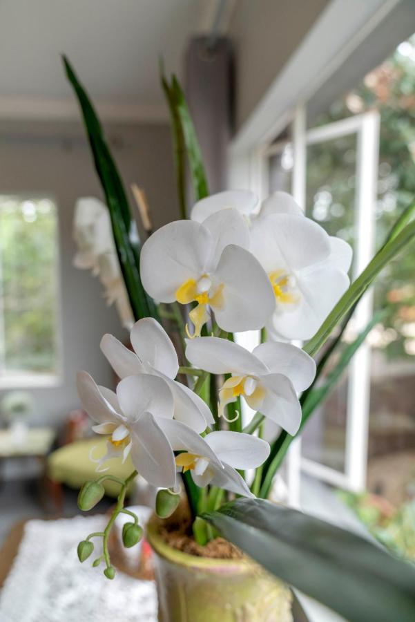 Villa Petit เจฟฟรีส์เบย์ ภายนอก รูปภาพ